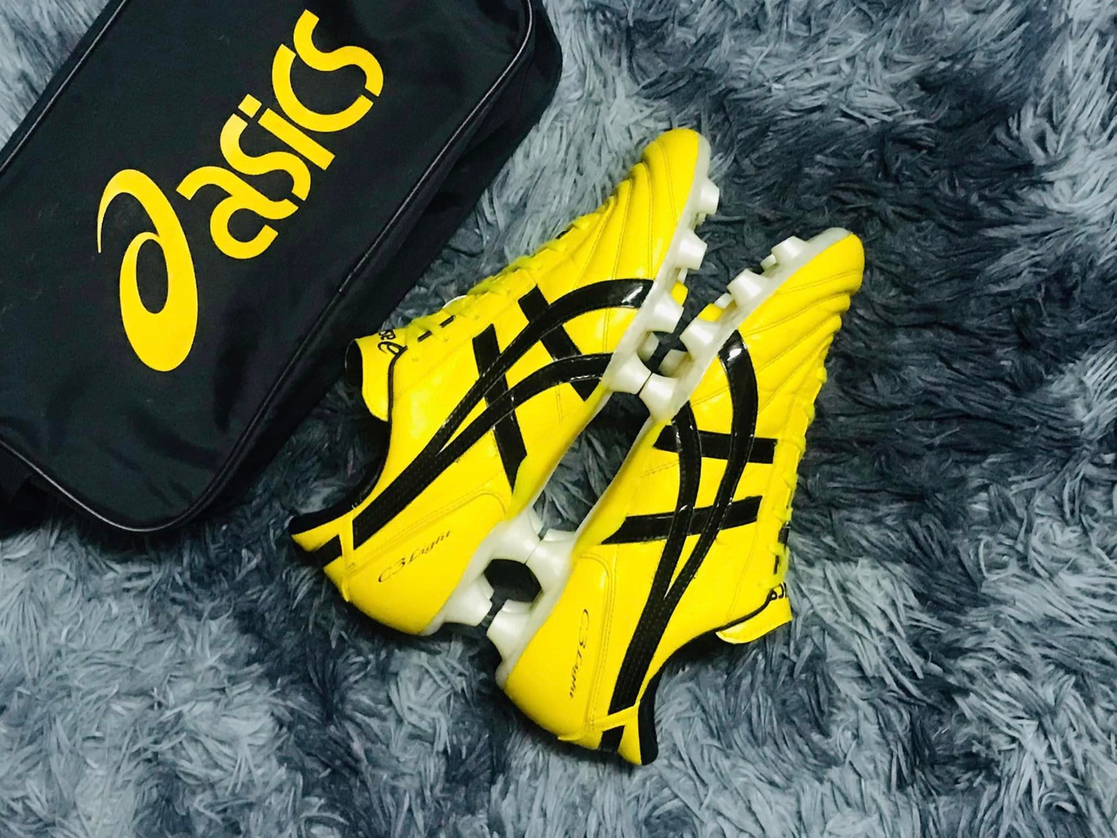 日处理10T动物油熬练生产线